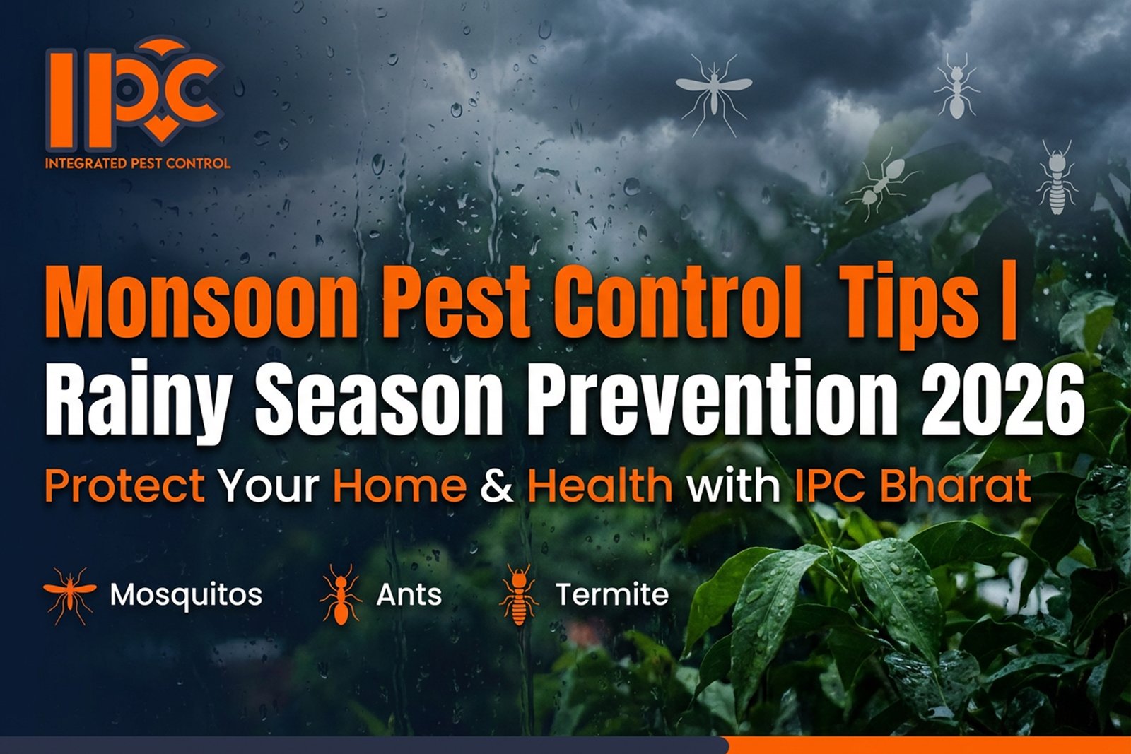 Monsoon Pest Control Tips | Rainy Season Prevention 2026